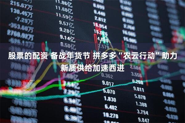 股票的配资 备战年货节 拼多多“农云行动”助力新质供给加速西进